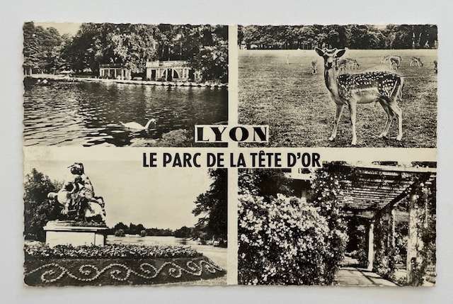Vintage postcard - LYON - Photo J Cellard #36.109