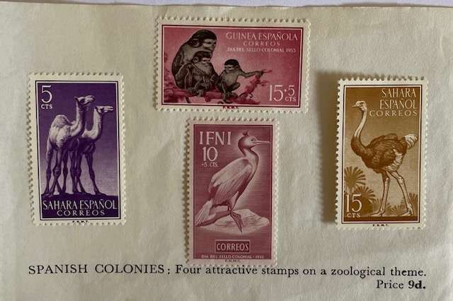 Stamps - Spanish territories on paper - MH