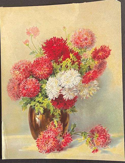 Antique Art Print from magazine / book - A Bouquet of Chrysanthemums - A.A. Brunel De Neuville