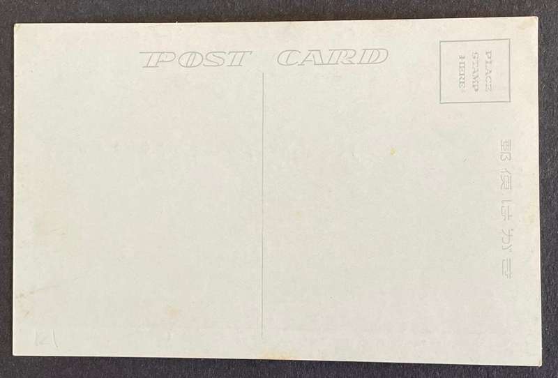 Vintage Japanese postcard - The Cherry in The Himeji Castle  - unused
