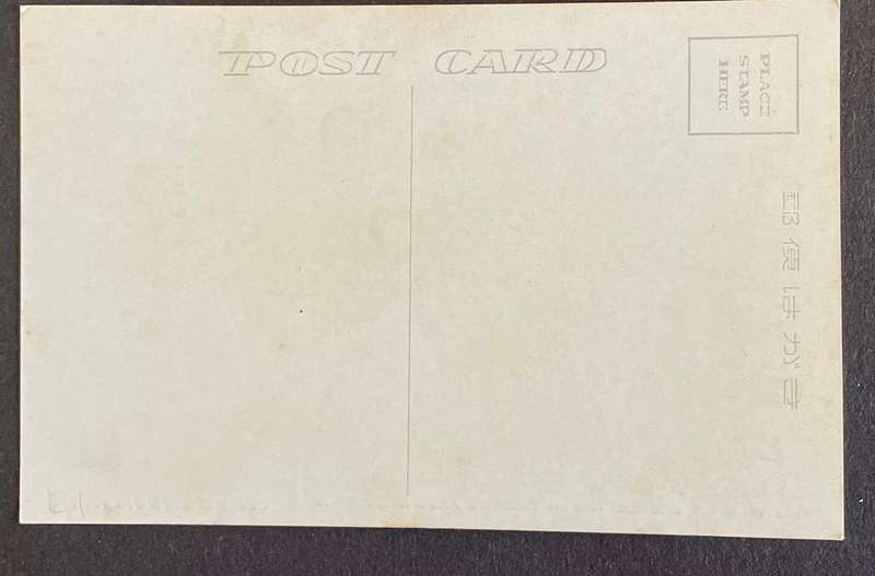 Vintage Japanese postcard - The View of Castle Tower as seen from Ni Shinomaru  - unused