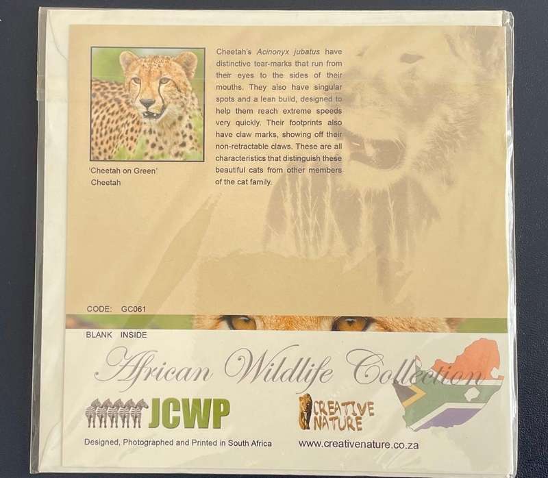 Large postcard / notelet - Cheetah - African Wildlife collection. Unused