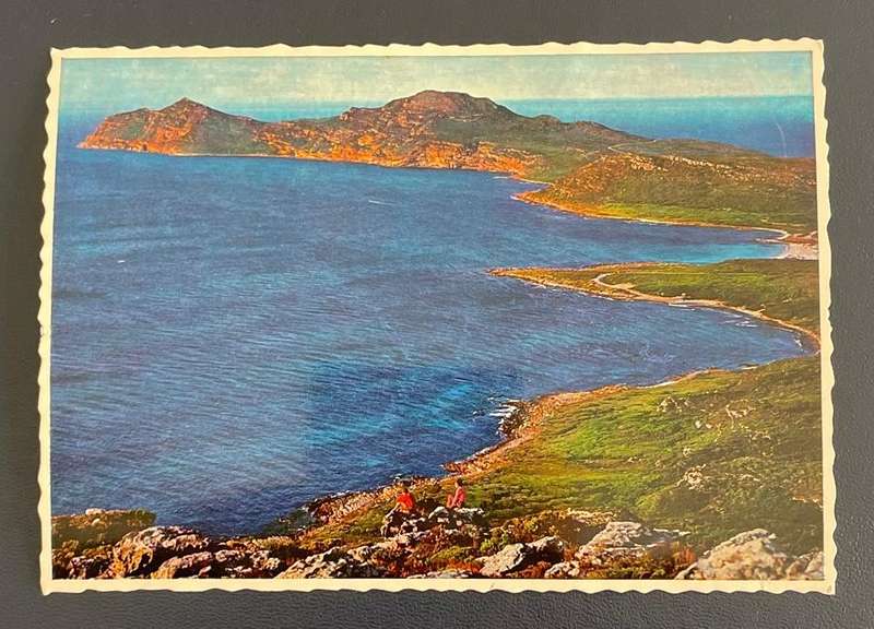 Vintage postcard - Cape Point looking to the South -Protea Colour print - #318 - Unused
