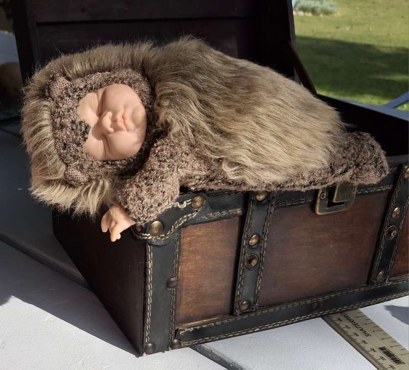 Collectible Anne Geddes Hedgehog Doll
