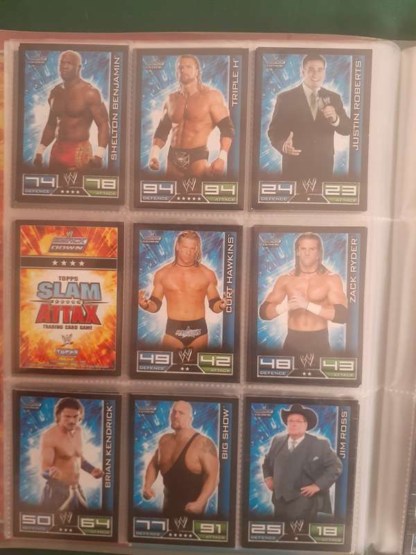 BINDER FULL OF MIXED RARE CARDS!