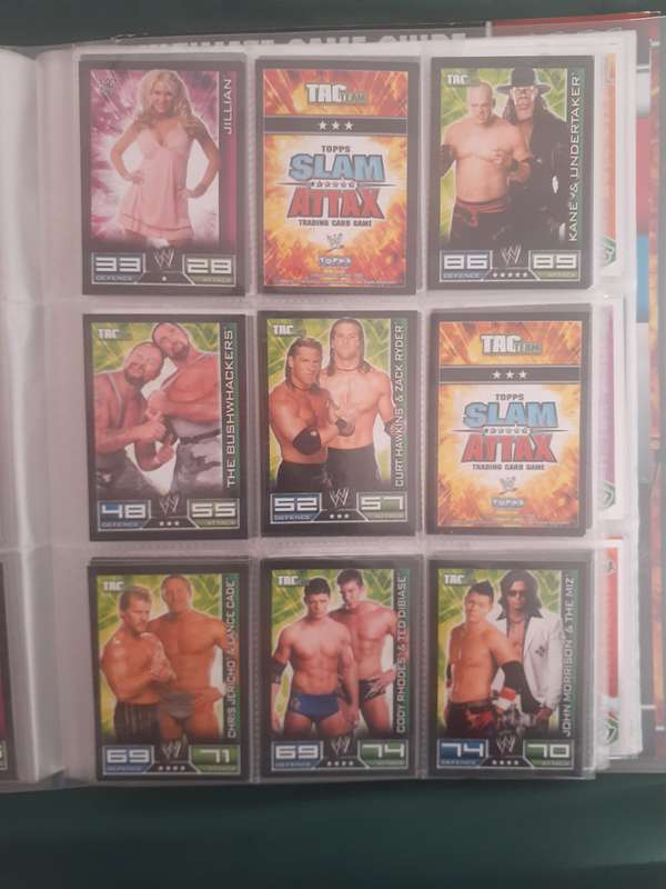 BINDER FULL OF MIXED RARE CARDS!