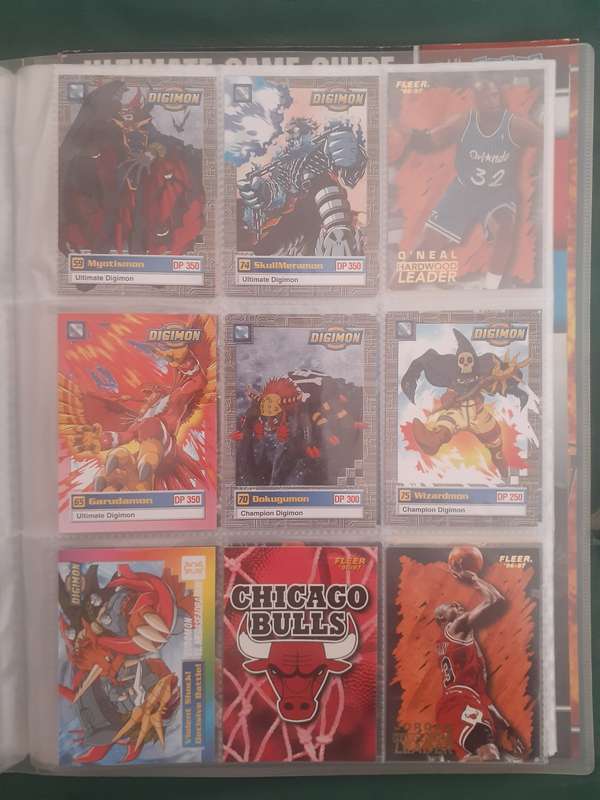 BINDER FULL OF MIXED RARE CARDS!