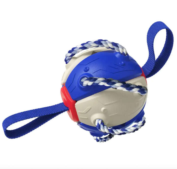 BURRAAQ TRANDING / INTERACTIVE FLYING FRISBEE BALL DOG TOY
