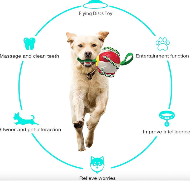 BURRAAQ TRANDING / INTERACTIVE FLYING FRISBEE BALL DOG TOY