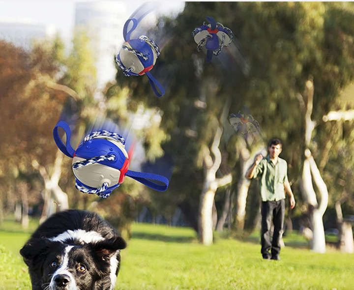 BURRAAQ TRANDING / INTERACTIVE FLYING FRISBEE BALL DOG TOY