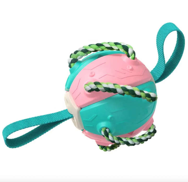 BURRAAQ TRANDING / INTERACTIVE FLYING FRISBEE BALL DOG TOY