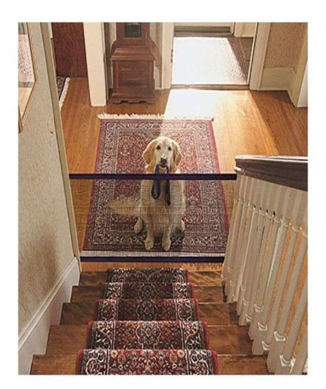 BURRAAQ TRANDING / PORTABLE DOG MAGIC GATE MESH