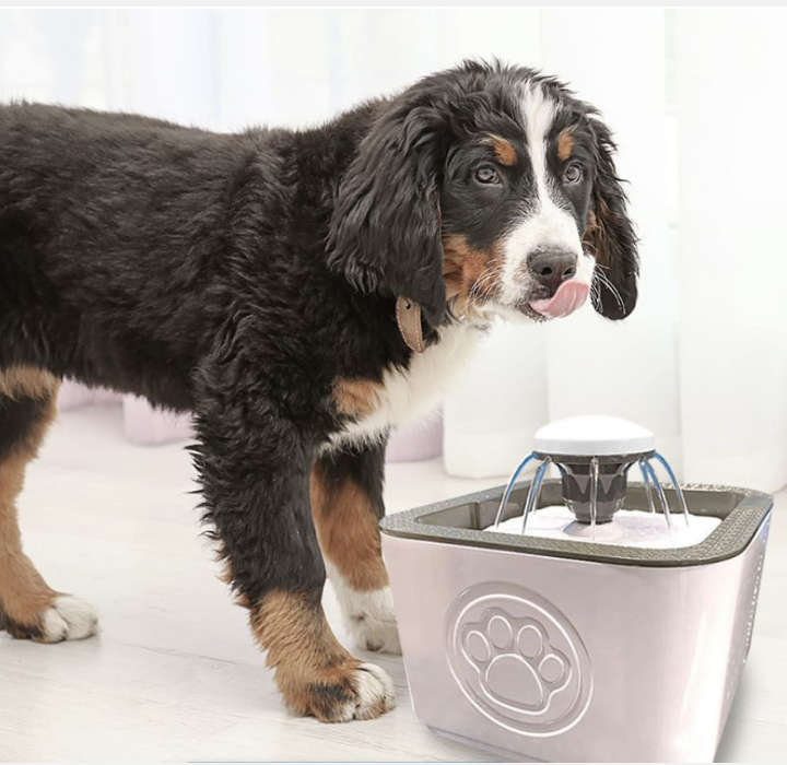 BURRAAQ TRANDING/ 2,*PORTABLE PET DOG AND CAT AUTOMATIC WATER FOUNTAIN