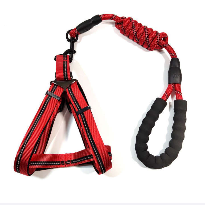 BURRAAQ TRANDING /LARGE ADJUSTABLE WALKING DOG LEASH