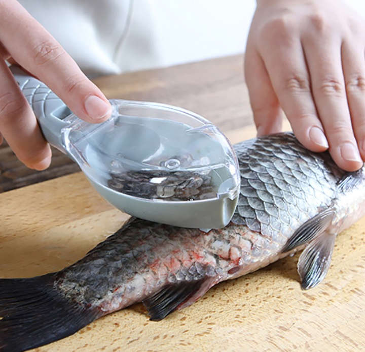 BURRAAQ TRANDING/ FISH SCALE REMOVER