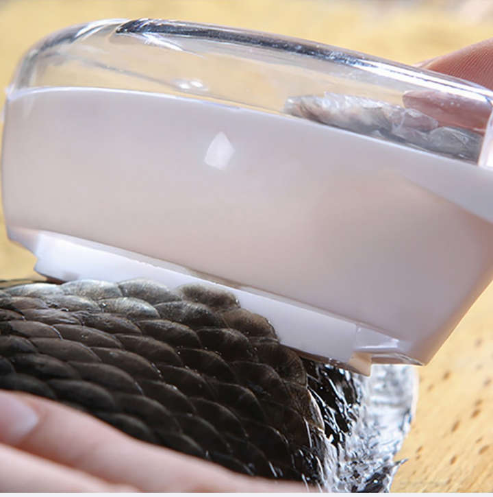 BURRAAQ TRANDING/ FISH SCALE REMOVER