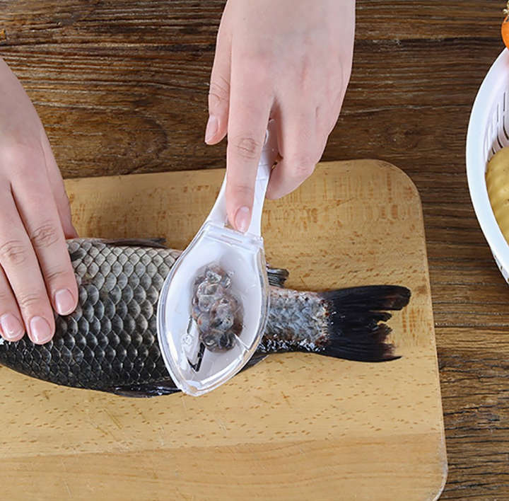 BURRAAQ TRANDING/ FISH SCALE REMOVER