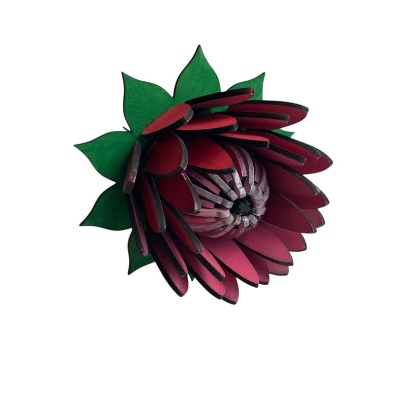 Protea Flower Open Painted
