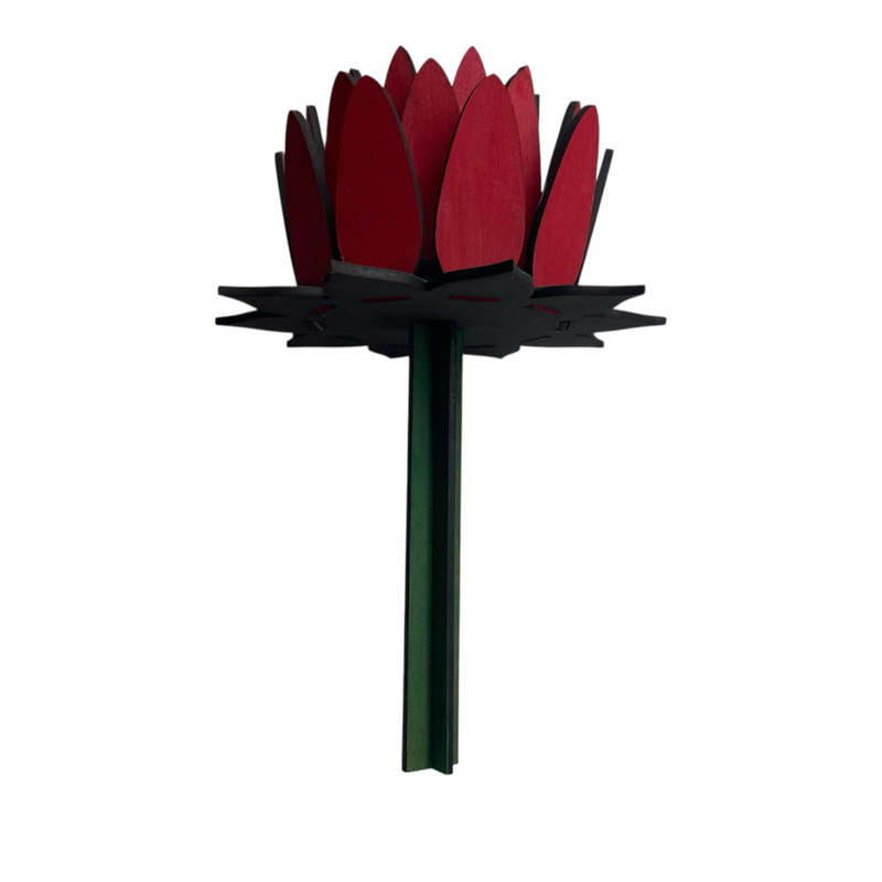 Protea Flower Open Painted