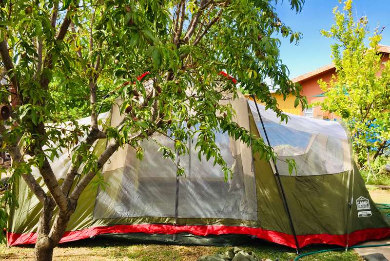 Campmaster Family Dome 6 in Excellent Condition