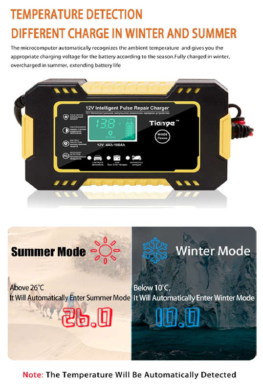 12v Intelligent Repair Charger