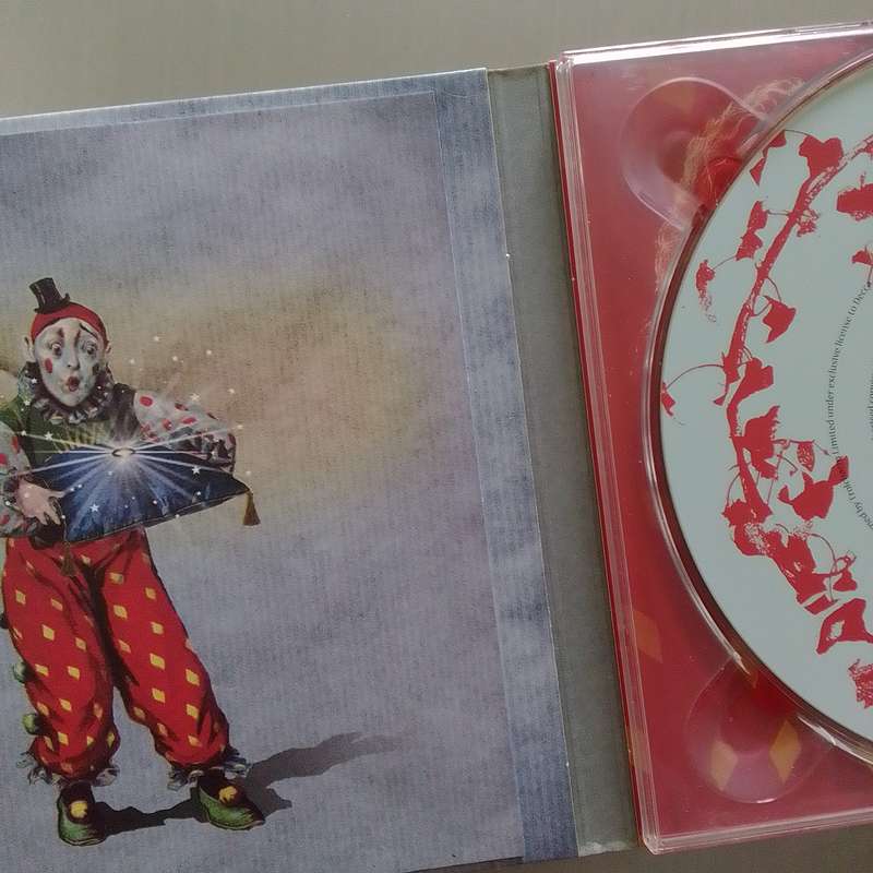 Robert Plant (CD) Band Of Joy