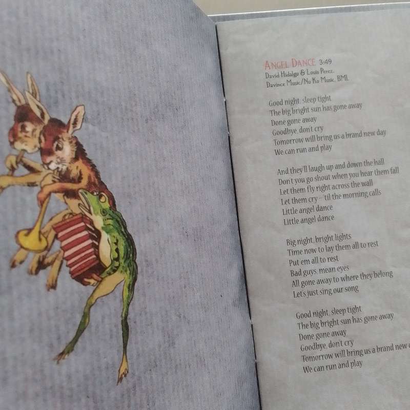 Robert Plant (CD) Band Of Joy