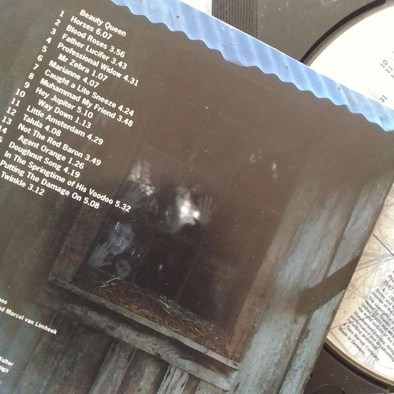 Tori Amos (CD) Boys For Pele