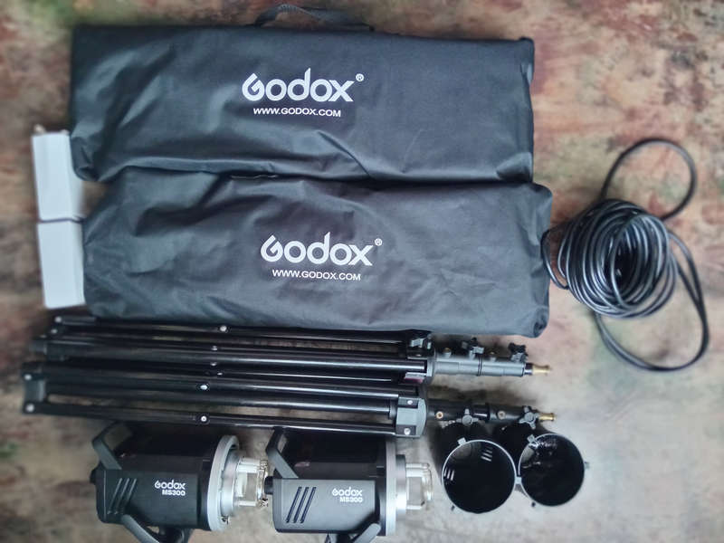 Godox ms 300 studio light