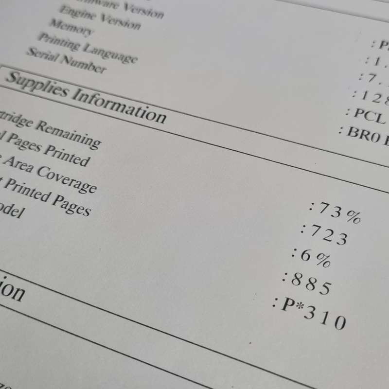 Pantum P 3255 ON Mono Printer