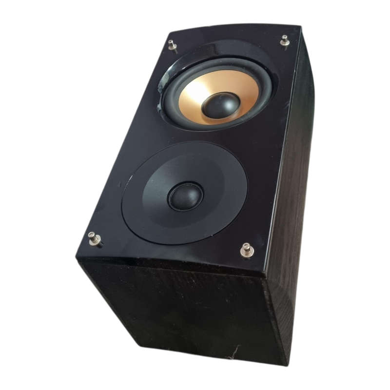Hi-end Pure Acoustics Surround Speaker