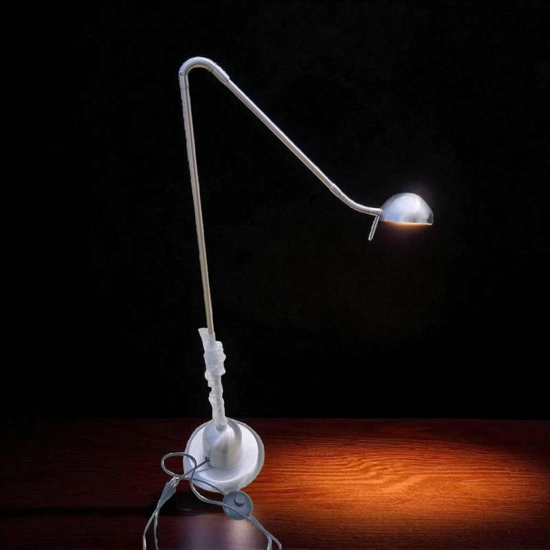 Floor standing tall stainless steel study lamp
