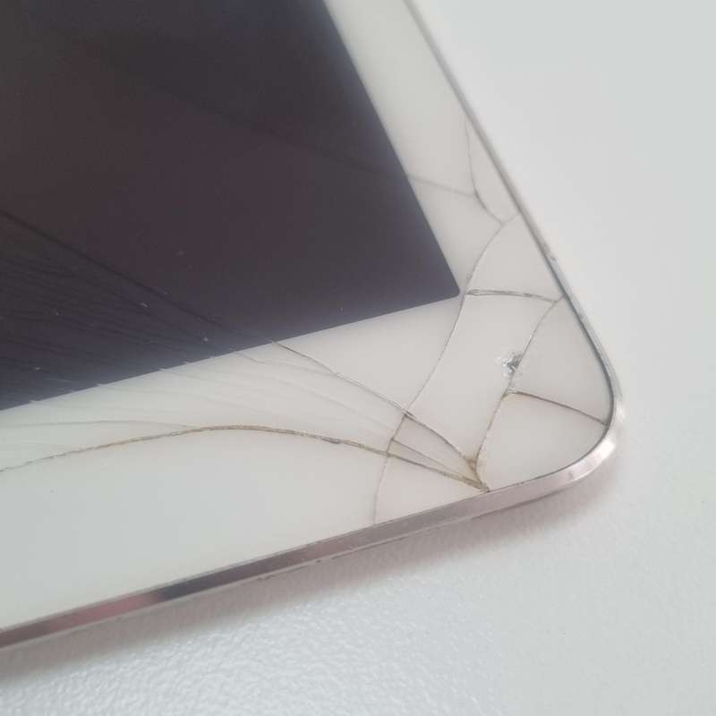 iPad Pro (9.7-inch) Switches on (screen damage)
