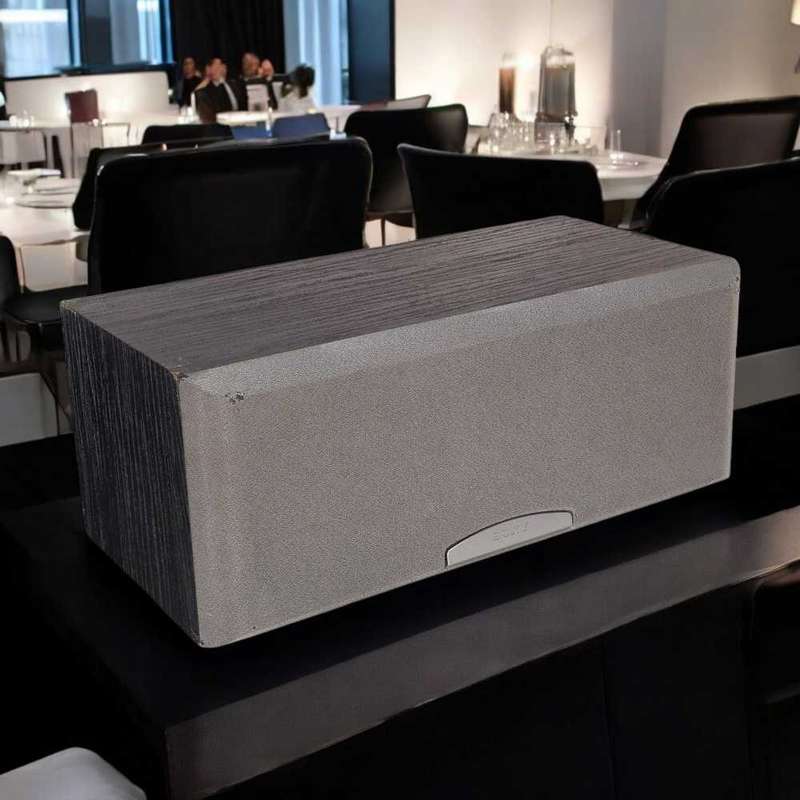 Sony Center Speaker