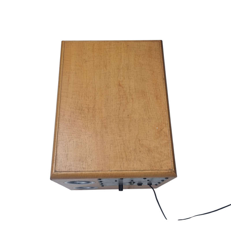 Samsung 10 inch Subwoofer
