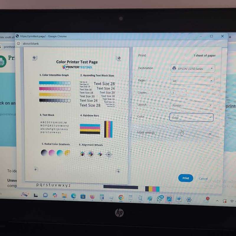 Epson ecotank (See details.) with 90% ink levels