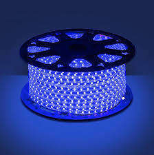 100M Blue Strip Light 220V