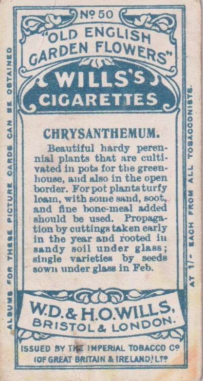 Cigarette Card Old English Garden Flower No. 50