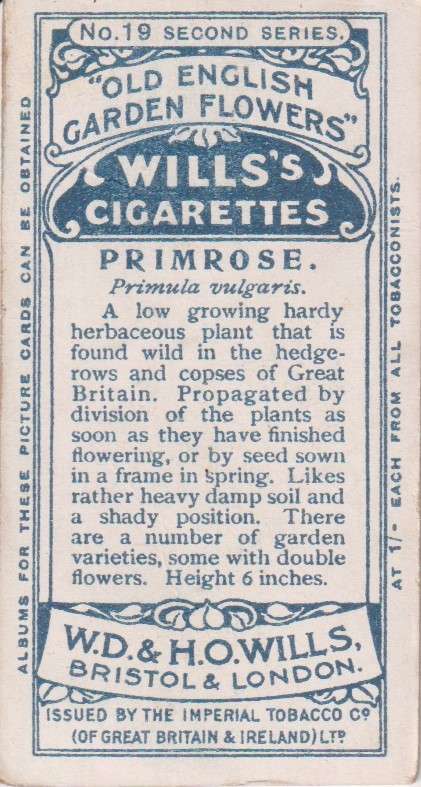 Cigarette Card Old English Garden Flower No. 19