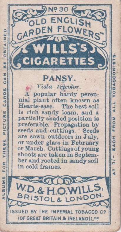 Cigarette Card Old English Garden Flower No. 30