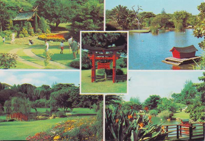 Post Cards / Maxi Card not used