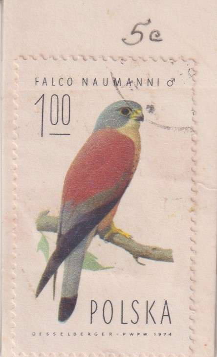 Stamps Polska Bird