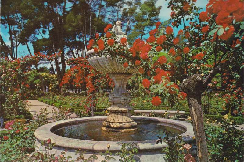 Post Cards / Maxi Card not used