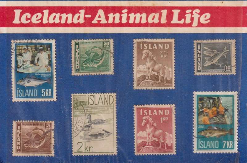 Stamp Card iceland