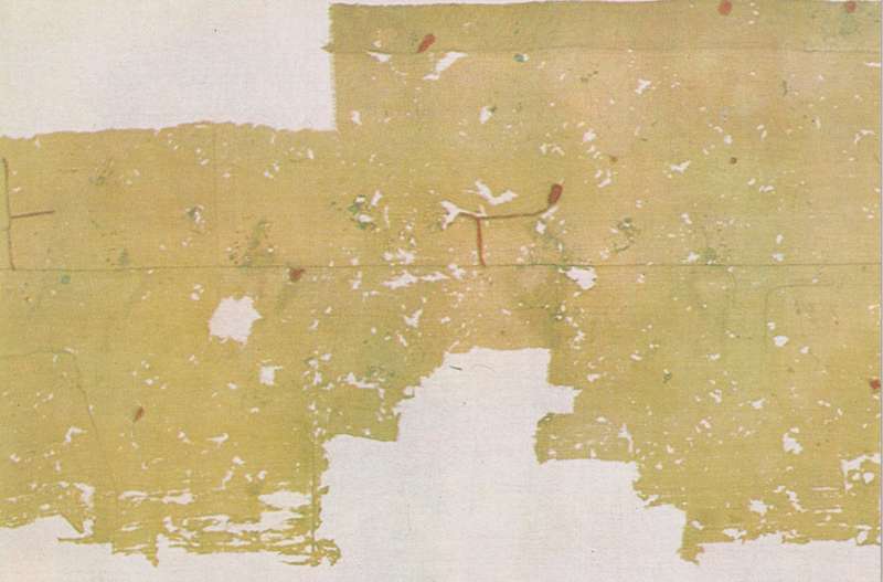 Post Cards / Maxi Card not used