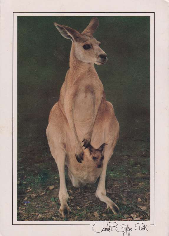 Post Cards not used
