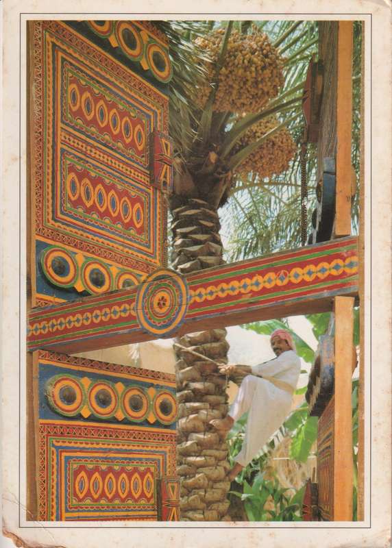 Post Cards not used