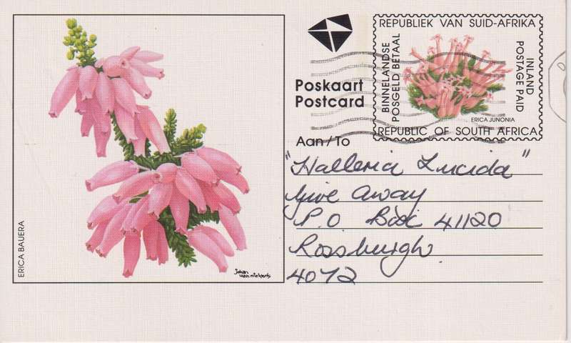 Post Cards / Maxi Card / Postal History / Pre paid Post Card Used