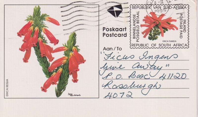 Post Cards / Maxi Card / Postal History / Pre paid Post Card Used