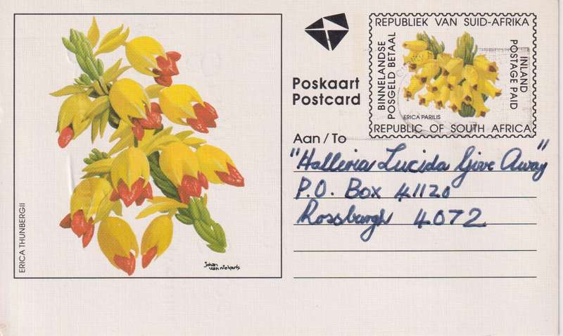 Post Cards / Maxi Card / Postal History / Pre paid Post Card Used